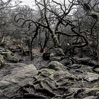 Buy canvas prints of Twisted Forest by Horace Goodenough