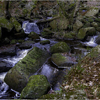 Buy canvas prints of Padley Gorge by Horace Goodenough