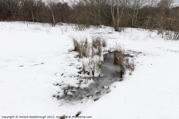 The frozen pond Picture Board by Horace Goodenough