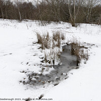 Buy canvas prints of The frozen pond by Horace Goodenough