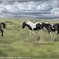 Buy canvas prints of Wild horses on Dartmoor  by Horace Goodenough