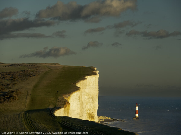 Beachy Head lighthouse and cliff in sunshine Picture Board by Sophie Lawrence