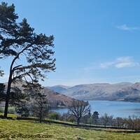 Buy canvas prints of Tree overlooking Ullswater by Mike Owen