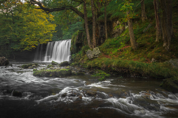 A waterfall with autumnal trees Picture Board by Colin Duffy