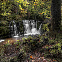 Buy canvas prints of Autumn Waterfall  by Colin Duffy