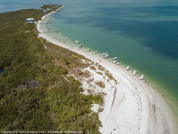 Cayo Costa Island Beach, Florida Close to Pine Isl Picture Board by Samuel Foster