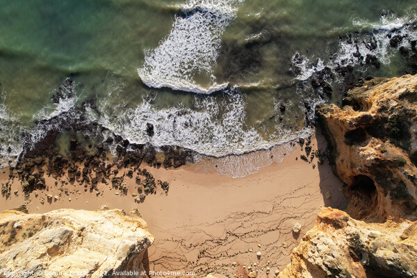 Beach and waves from top view Lagos, Portugal Alga Picture Board by Samuel Foster