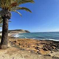 Buy canvas prints of Praia Da Luz, Lagos, Algarve Portugal with palm trees and blue sky by Samuel Foster