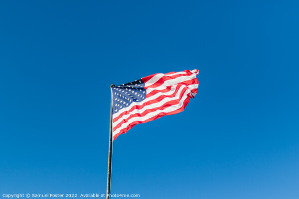American USA Flag flying on a clear blue sky Picture Board by Samuel Foster