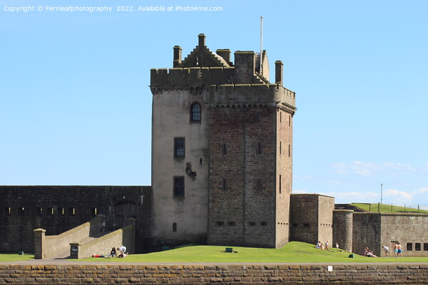 Broughty Castle  Picture Board by Fernleafphotography 