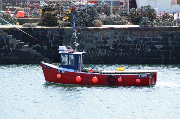 Fishing boat Arbroath Picture Board by Fernleafphotography 