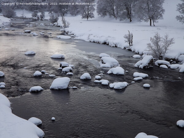 Frozen river Picture Board by Fernleafphotography 