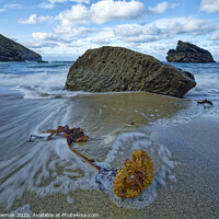 Buy canvas prints of Seaweed at Portheras Cove by Mark Bowman