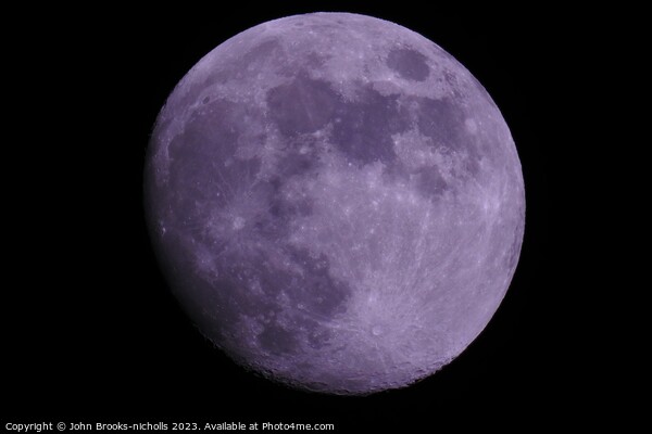 lavender moon Picture Board by John Brooks-nicholls