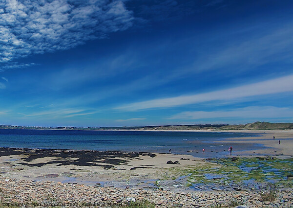 Scottish beach on a sunny day Picture Board by Mark Houghton