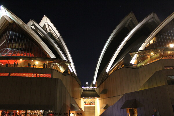 Sydney Opera House Picture Board by Kazim yildirimli