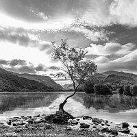 Buy canvas prints of Calm Before the Storm by Adrian Burgess