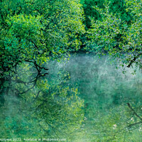 Buy canvas prints of Green Mist at Padawn by Adrian Burgess