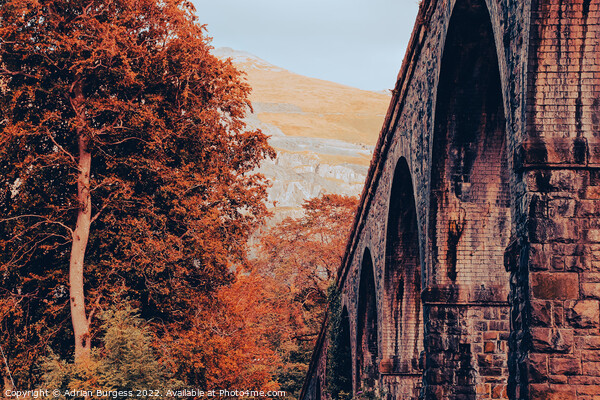 Snowdon Railway Viaduct Bridge Picture Board by Adrian Burgess