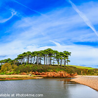 Buy canvas prints of Otter Estuary at Budleigh Salterton, Devon by Adrian Burgess