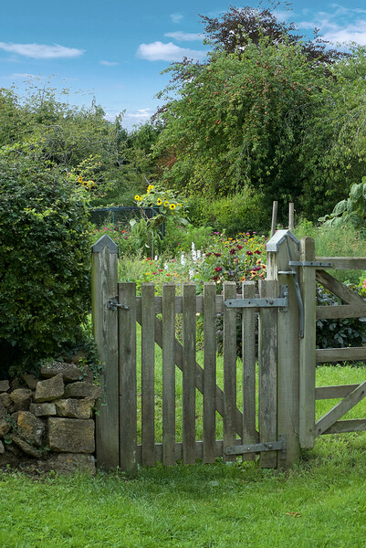 A Cotswold Garden Gate Picture Board by Zenith Photography