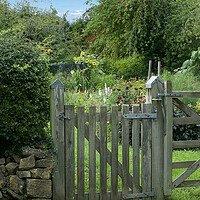 Buy canvas prints of A Cotswold Garden Gate by Zenith Photography