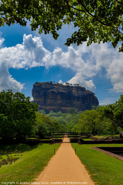 Sigiriya: the UNESCO Heritage Site (Sri Lanka) Picture Board by Asanka Gallege