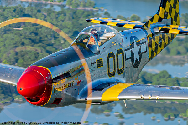 P-51D Mustang in the Air Picture Board by Andy Lay