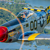 Buy canvas prints of P-51D Mustang in the Air by Andy Lay