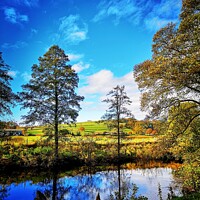Buy canvas prints of Still Silence, Yorkshire by GEORGIA ROSE