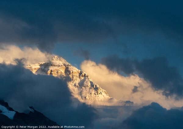 Everest at Sunset Picture Board by Peter Morgan