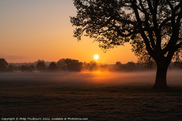 Foggy Sunrise Picture Board by Philip Thulbourn