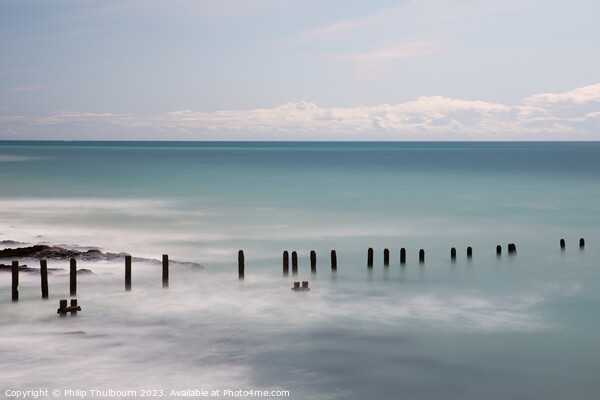 Sea Groynes  Picture Board by Philip Thulbourn