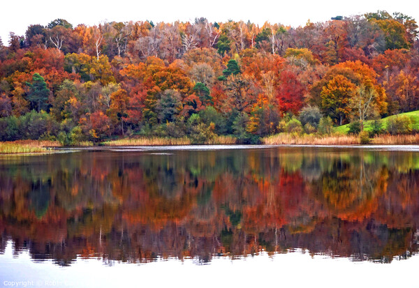 Autumn Reflections Picture Board by Robin Clarke