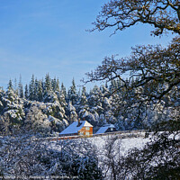 Buy canvas prints of Winter Wonderland by Robin Clarke