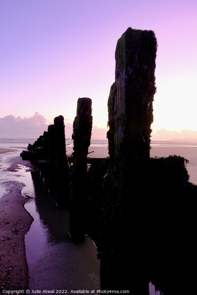 Purple sunset at Camber beach Picture Board by Julie Atwal