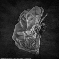 Buy canvas prints of Dancer monochrome by Cristina Pascu-Tulbure