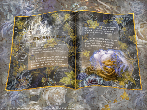 The Briar Rose Picture Board by Cristina Pascu-Tulbure
