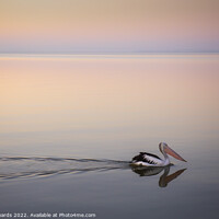 Buy canvas prints of Blue Hour Pelican  by Neil Edwards