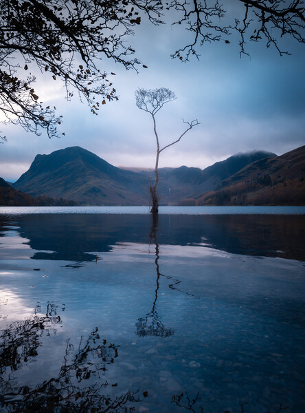 Buttermere Lake with the Lone Tree Picture Board by Alan Wise