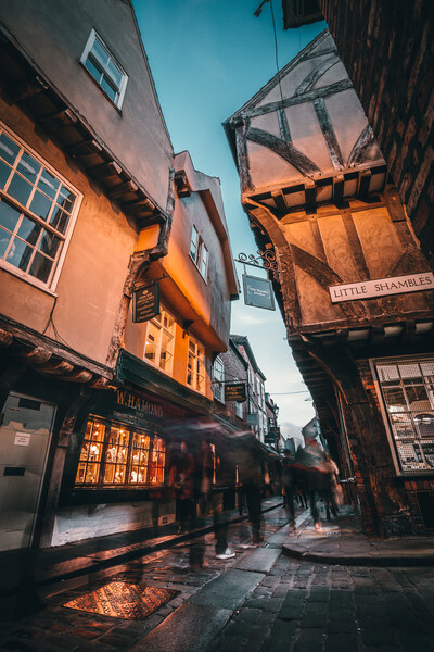The Shambles at dusk, York Picture Board by Alan Wise