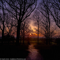 Buy canvas prints of Sunset silhouettes at Badbury Rings by Mark Searle