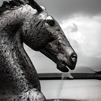 Buy canvas prints of The Enchanting Kelpie A Scottish Mythical Wonder by Dina Rolle