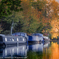 Buy canvas prints of Kennet and Avon Canal in Autumn by Stephen Young