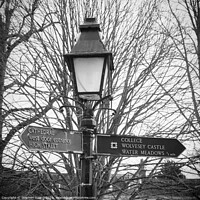Buy canvas prints of Winchester Lampost and Signs by Stephen Young