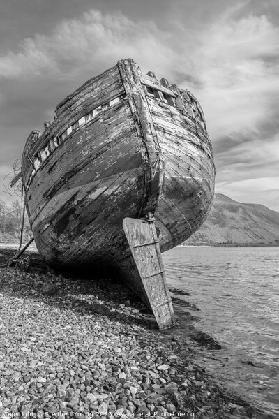 Boat Wreck on River Lochy, Fort William, Scotland Picture Board by Stephen Young