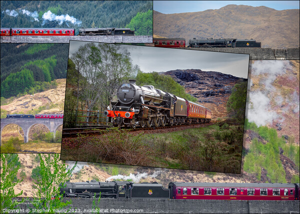 Jacobite Steam Train: The Lancashire Fusilier on Picture Board by Stephen Young