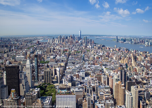 Exploring the Iconic NYC Skyline on a Perfect Day Picture Board by Stephen Young