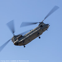 Buy canvas prints of Chinook Helicopter by Stephen Young
