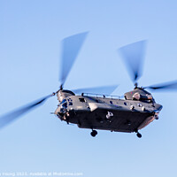 Buy canvas prints of Chinook Helicopter by Stephen Young